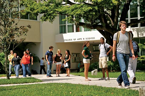 Writing Studies at the College of Arts and Sciences